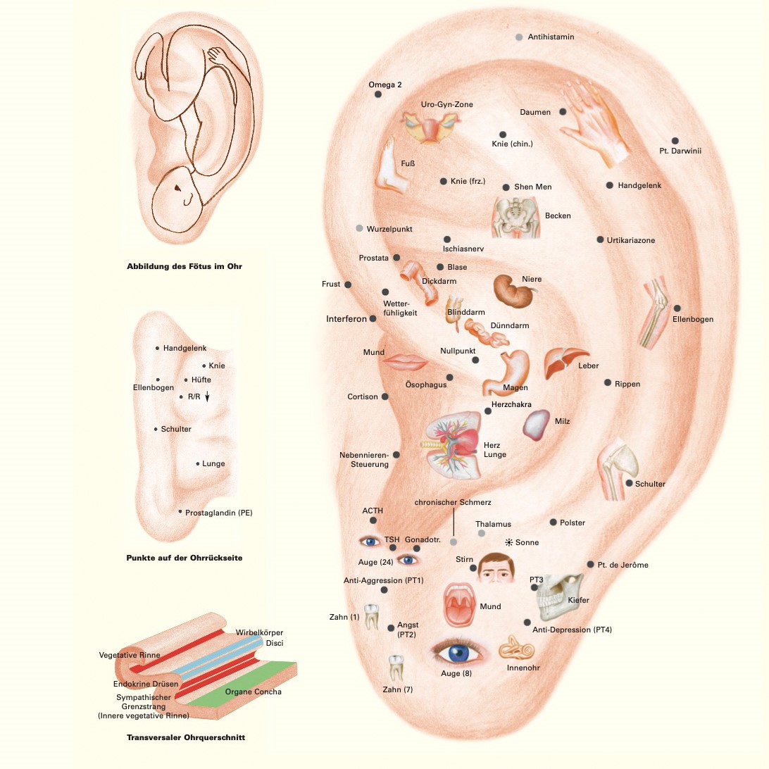 Ohrakupunktur Landschaftskarte